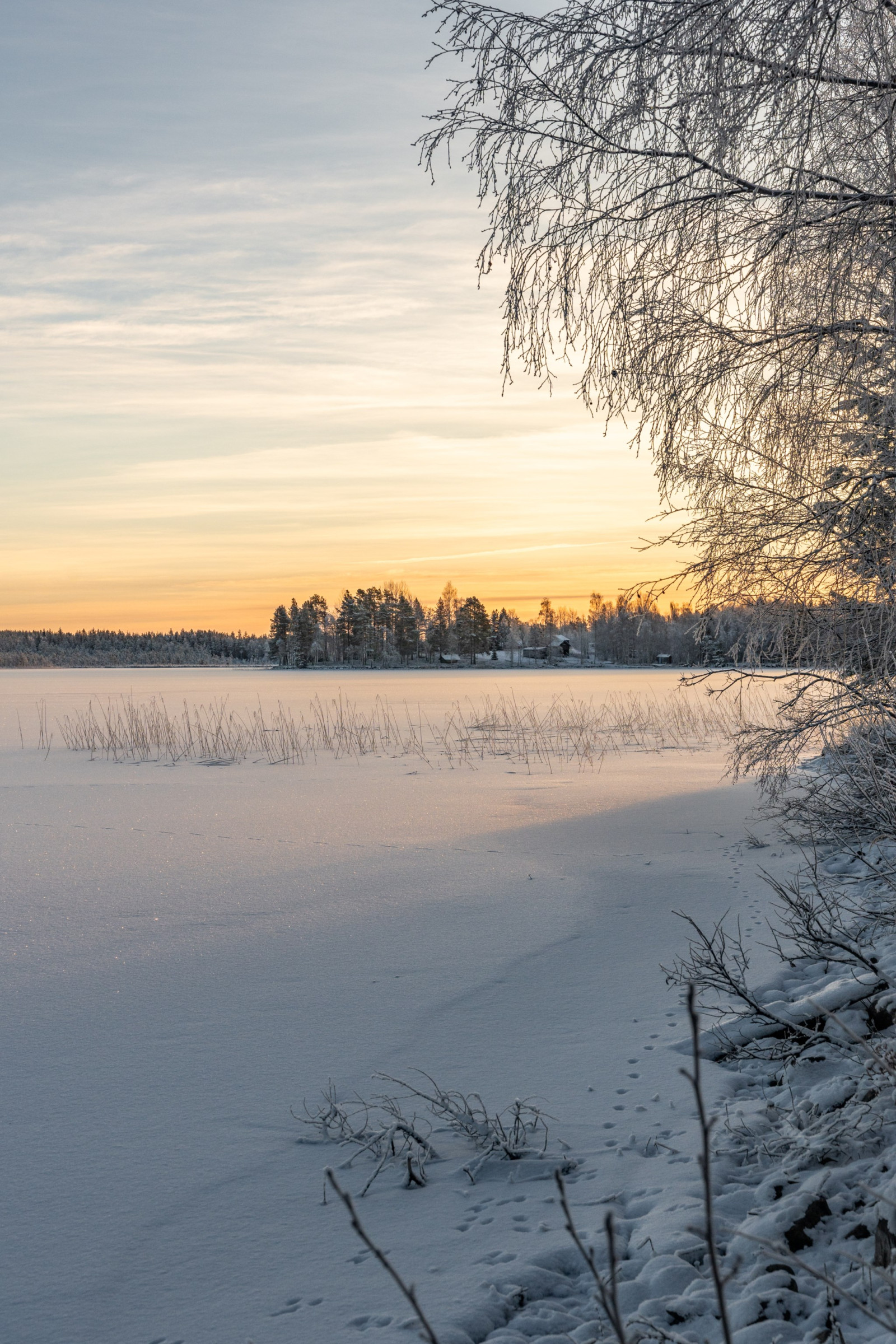  Horrmund Abborrnäs 16