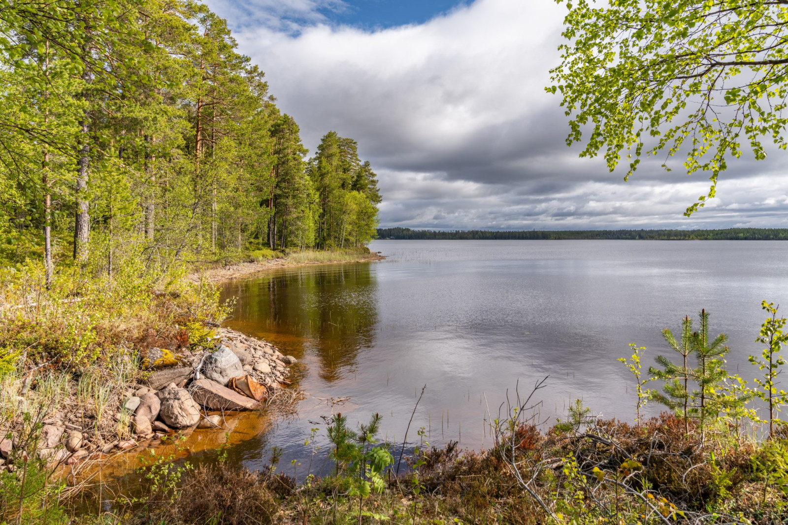  Horrmund Abborrnäs 16