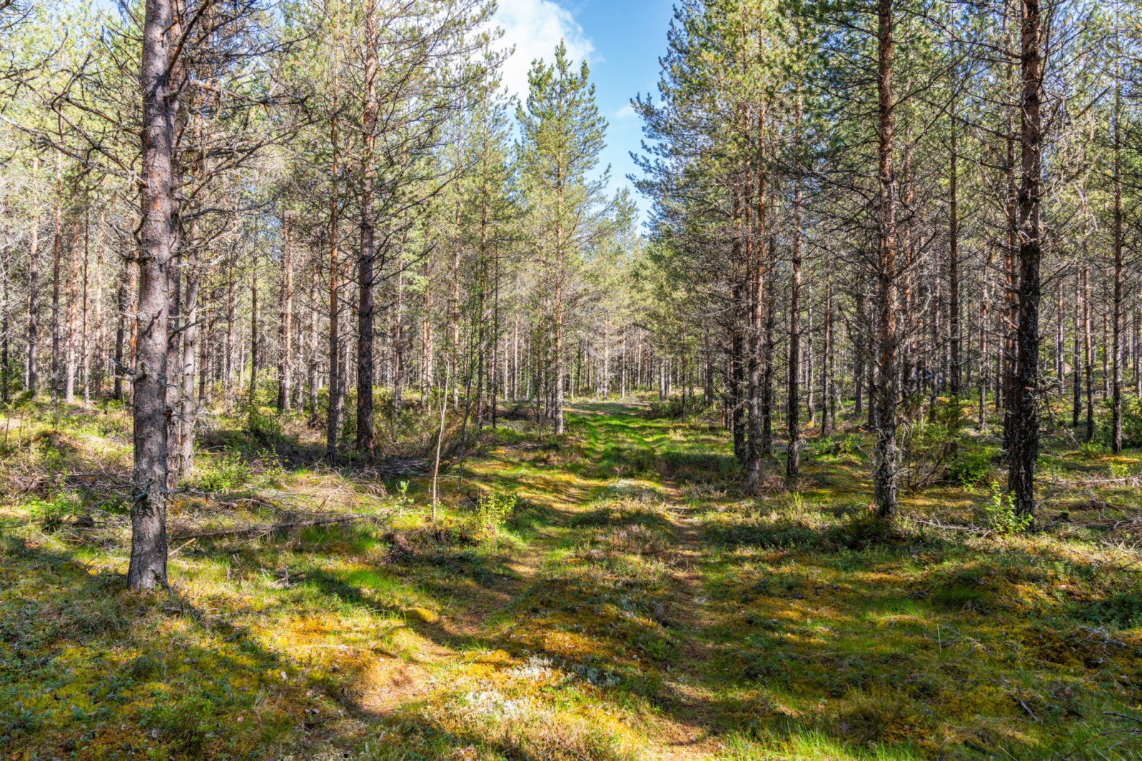  Högstrand 157, Resjövallen