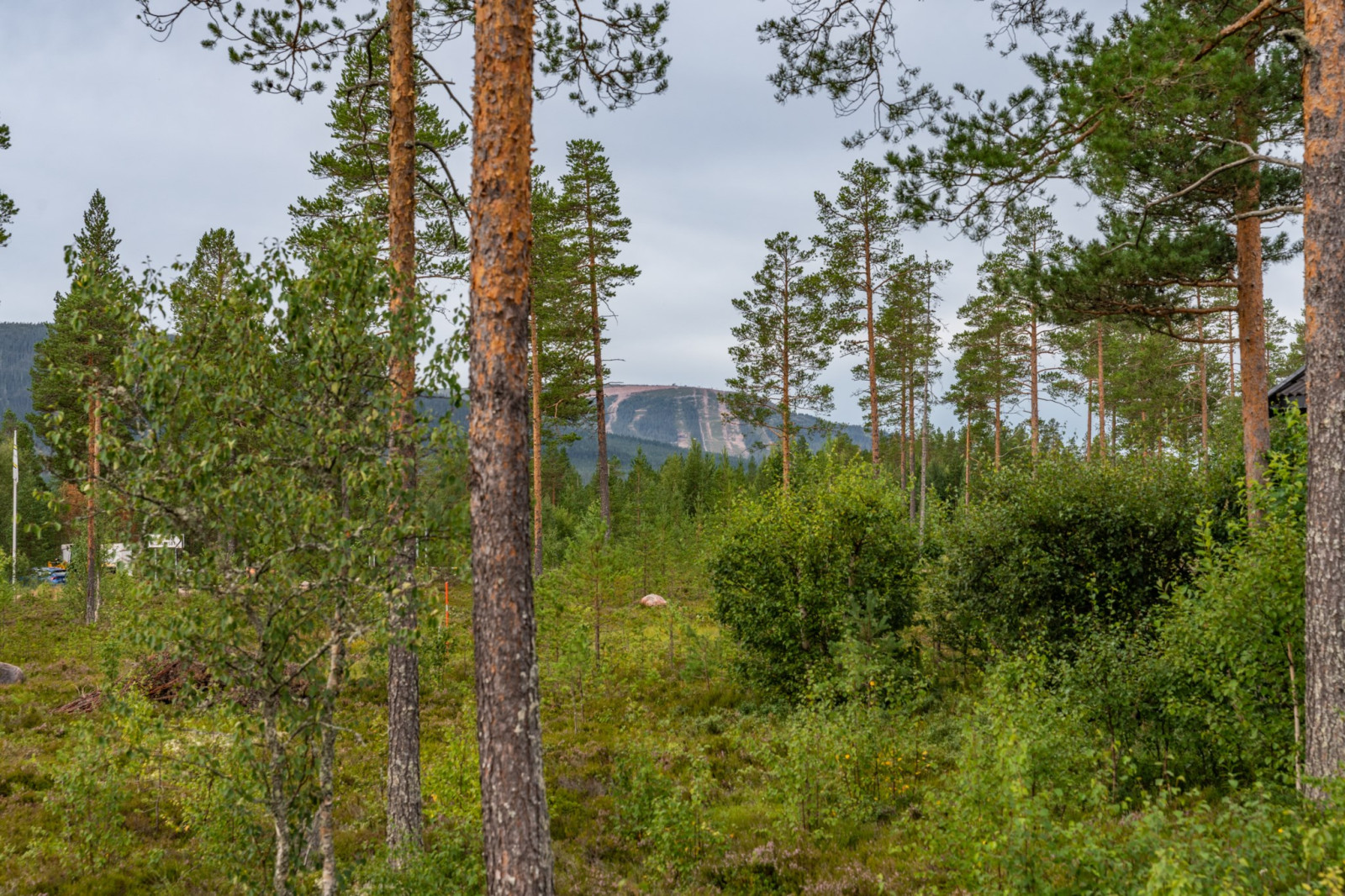 Ersbo Stinas väg 6