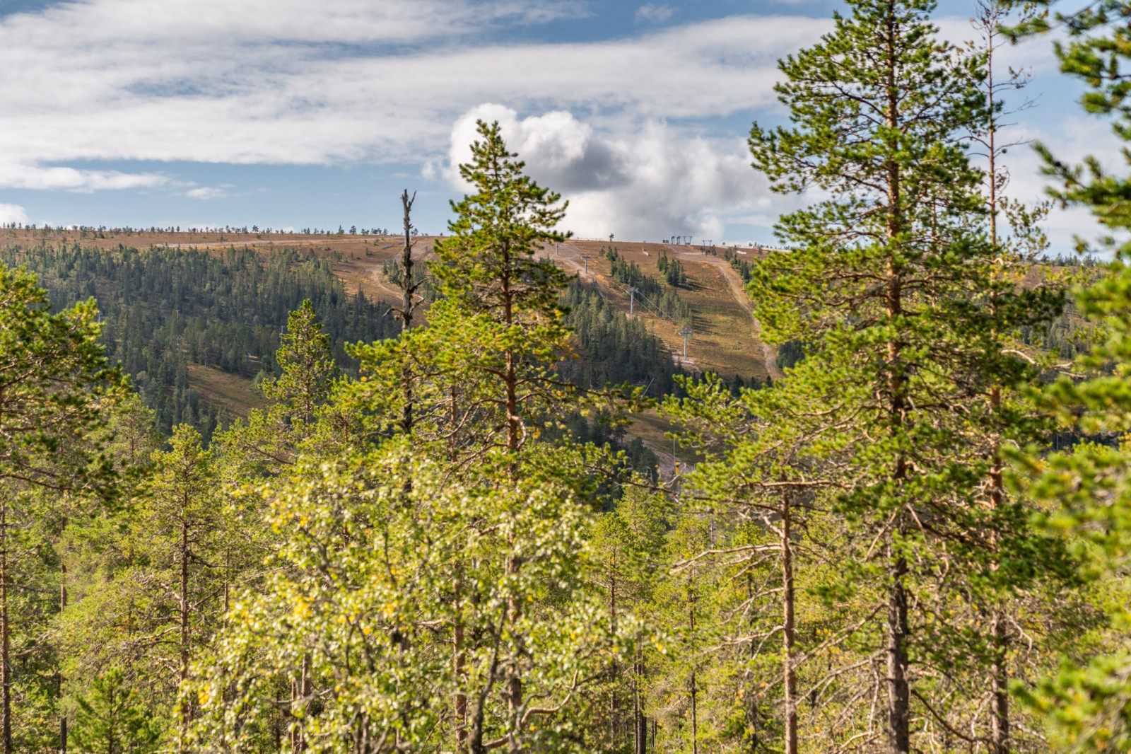  Fjällsåsen 8A