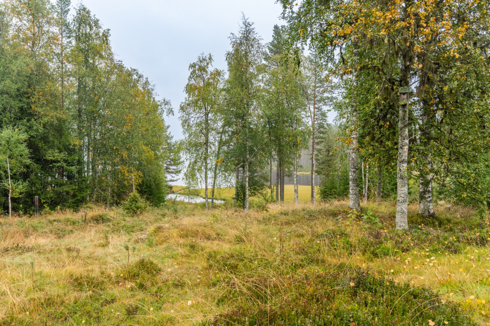  Branäs 10