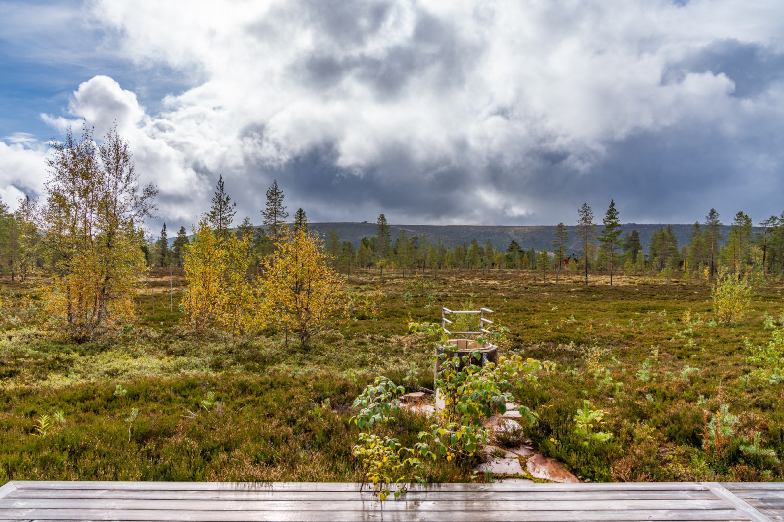  Hjortstigen 36