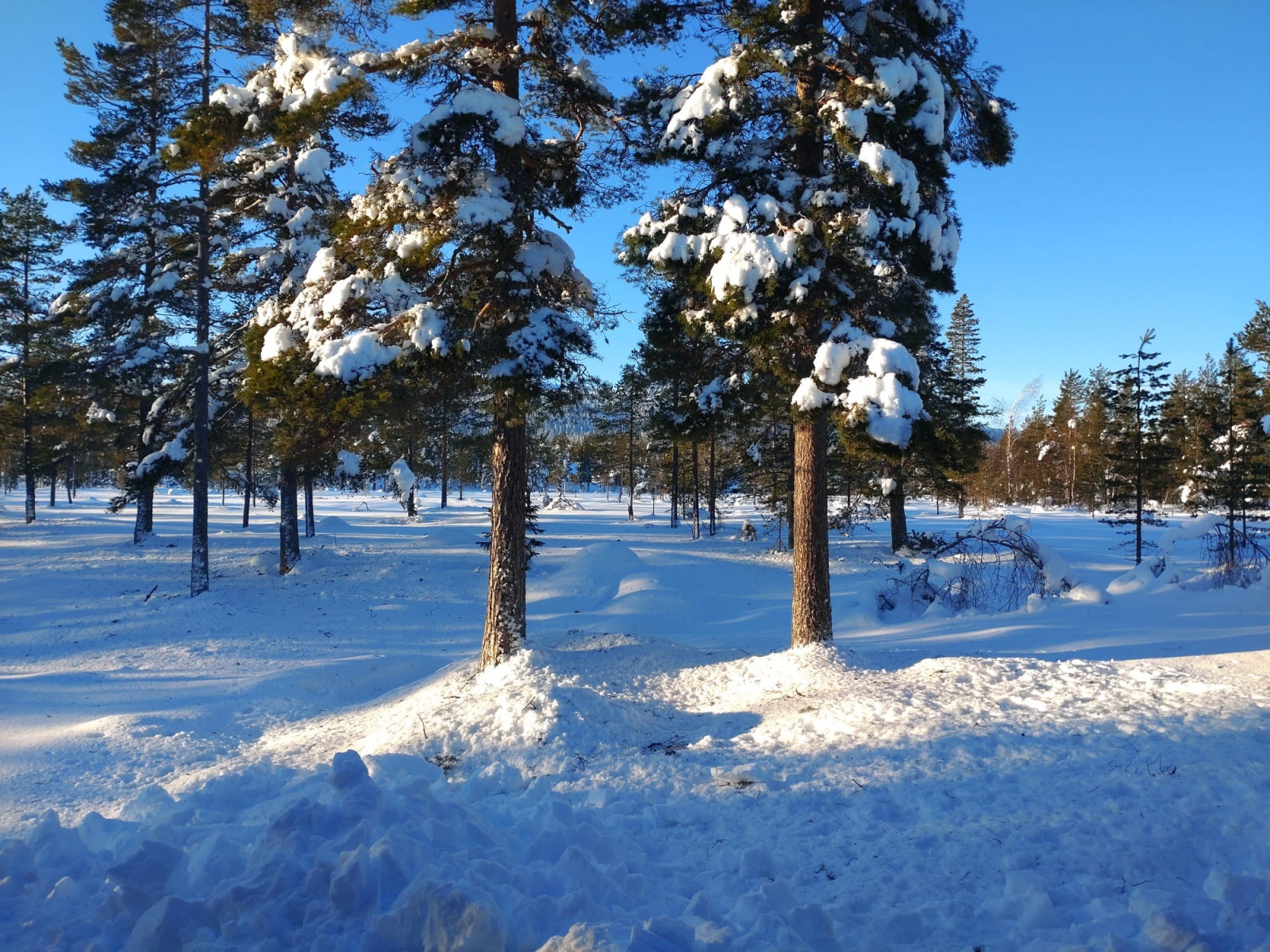 Säljarens egna bild Kremlavägen 5