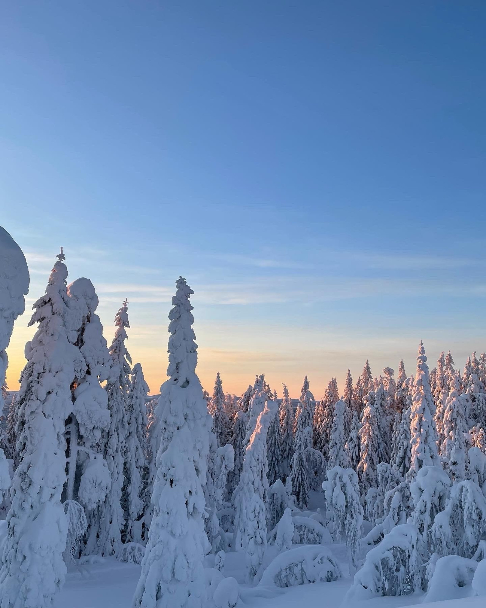 Säljarens egna bilder Pistvägen 526A