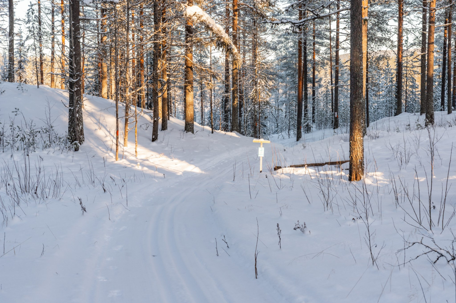  Rörbäcksnäs 517A-C, 519A-D, 521A-B