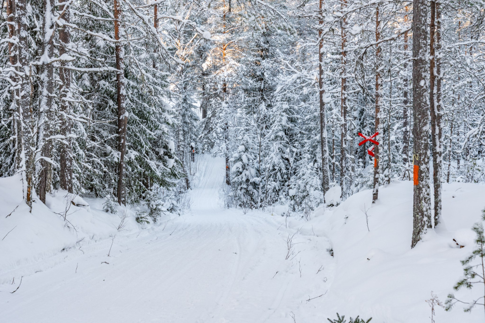  Rörbäcksnäs 517A-C, 519A-D, 521A-B