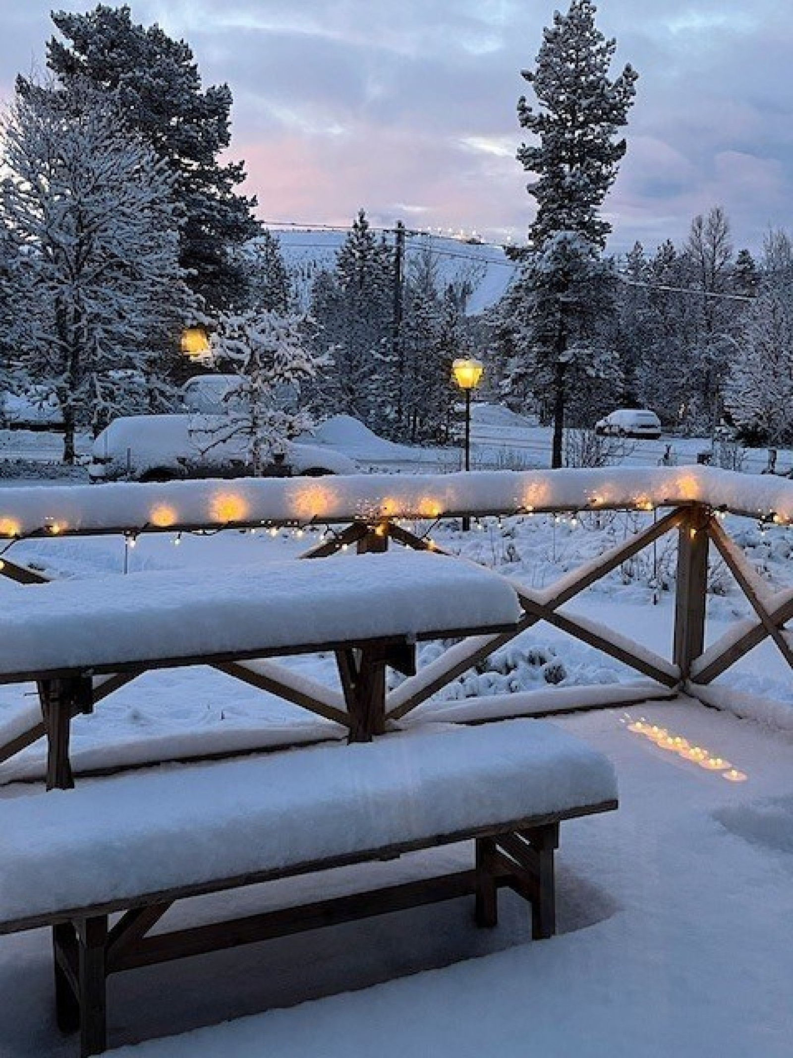 säljarens egna bilder Rådjursstigen 1