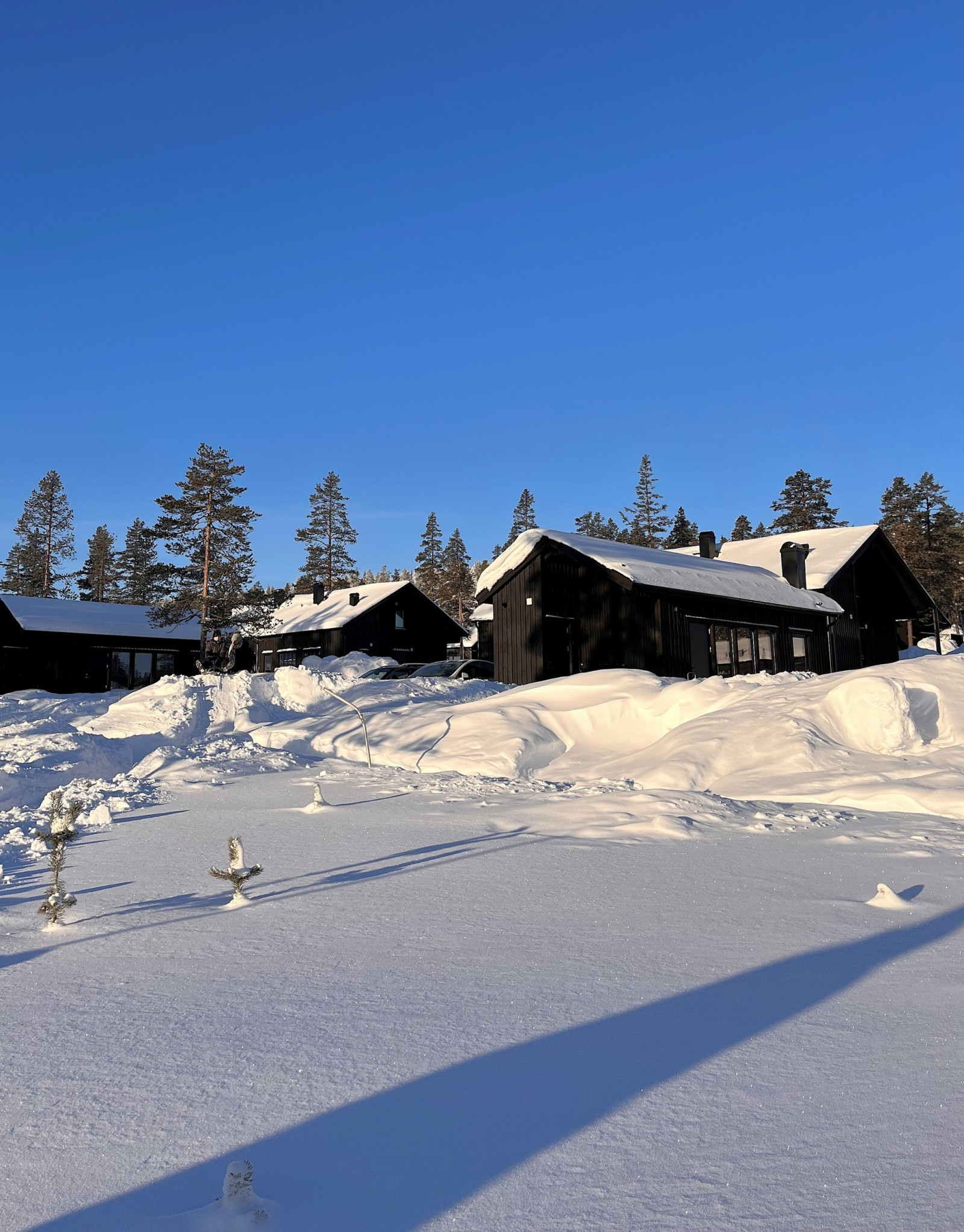 säljarens egna bilder Hjortstigen 1A