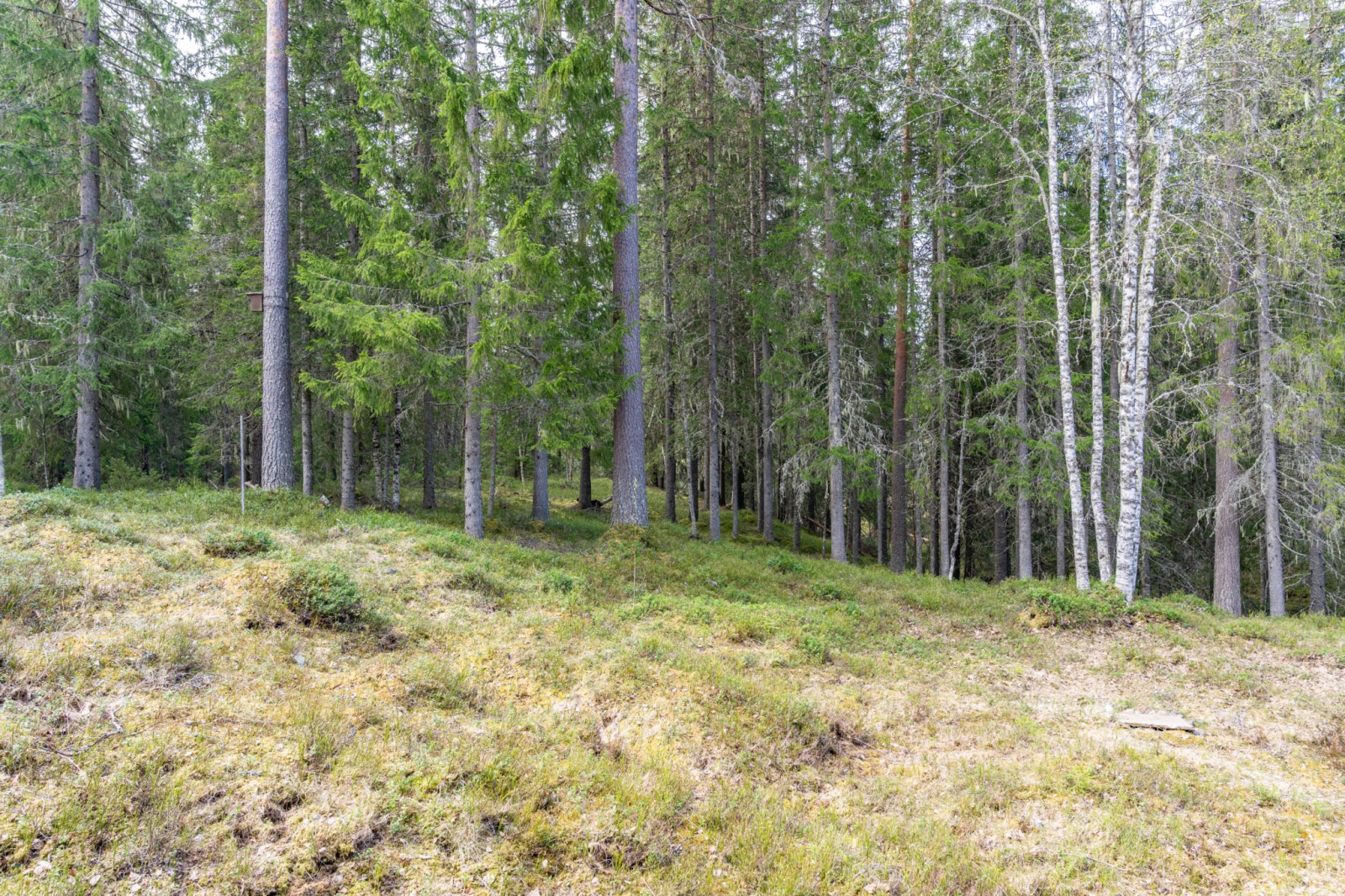  Källsätra 8
