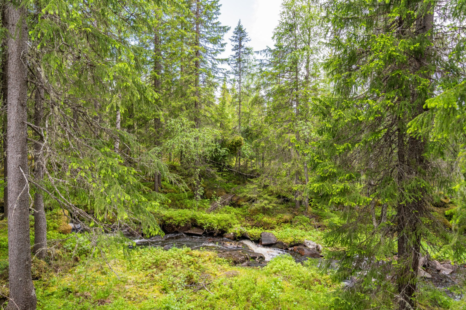  Silverbäcken