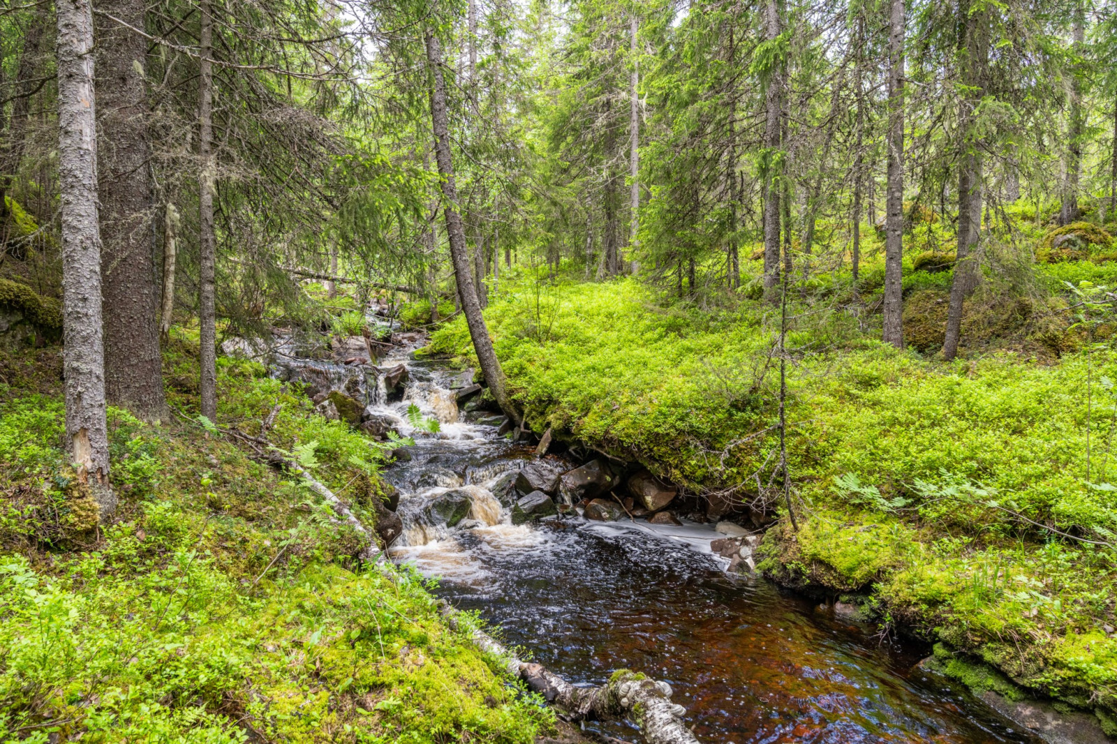  Silverbäcken