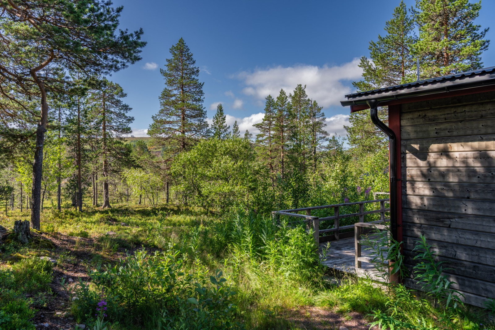  Leonards väg 3