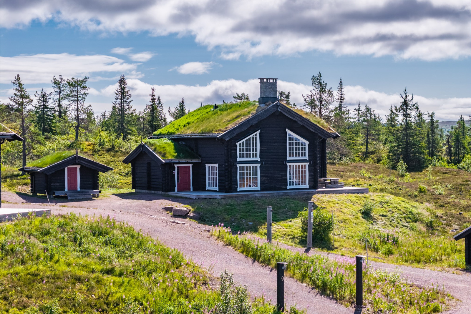  Högfjällsutsikten 11