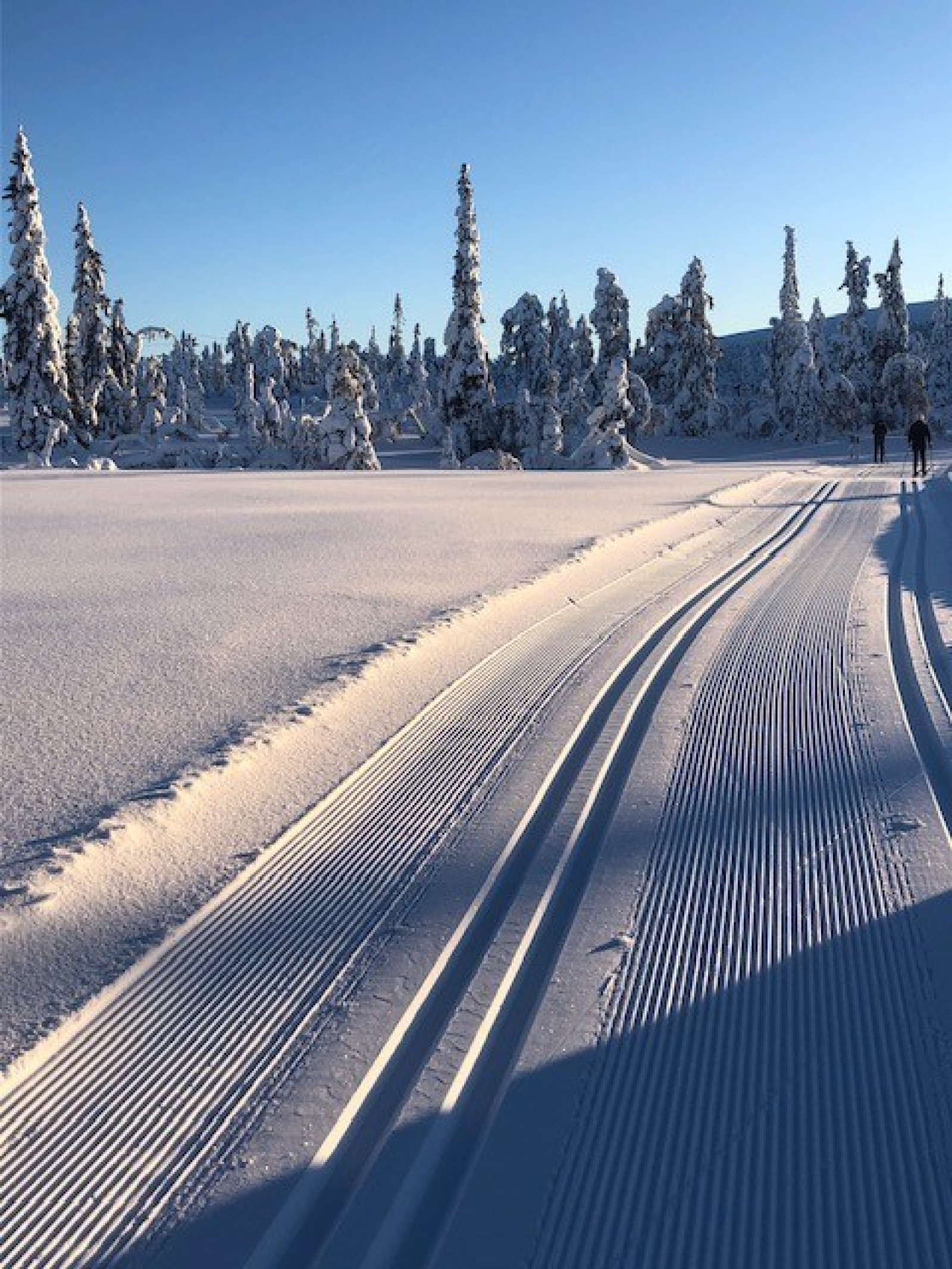 Säljarens egna bilder Ugglan 1