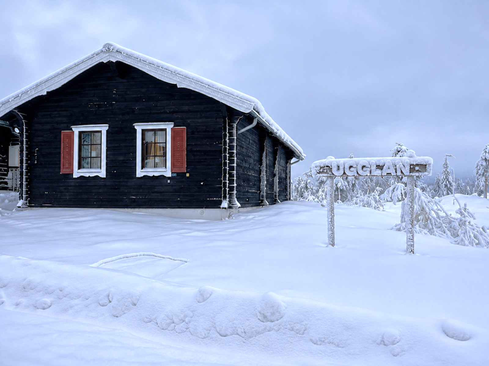 Säljarens egna bilder Ugglan 1