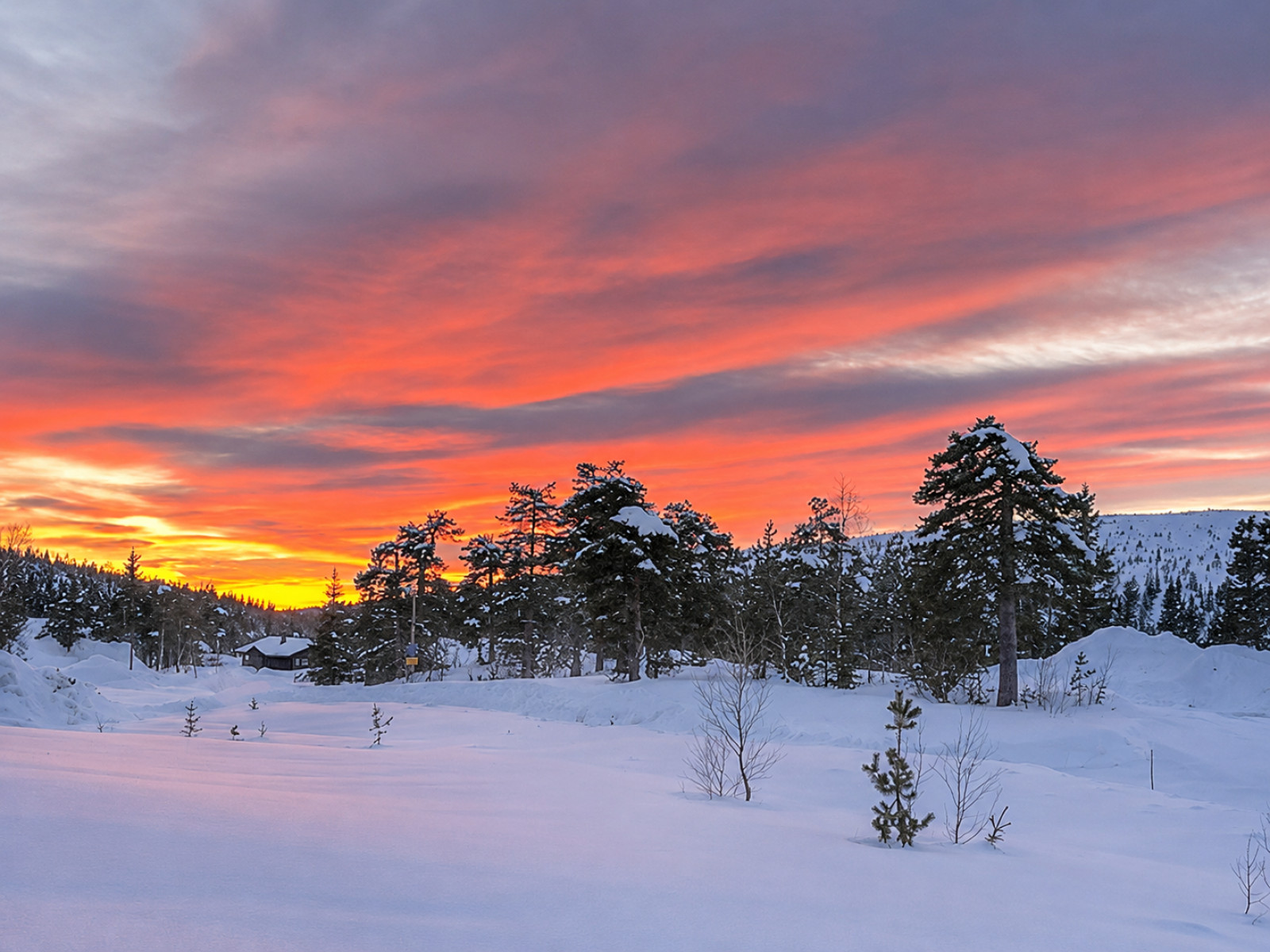 Säljarens egna bilder Ugglan 1