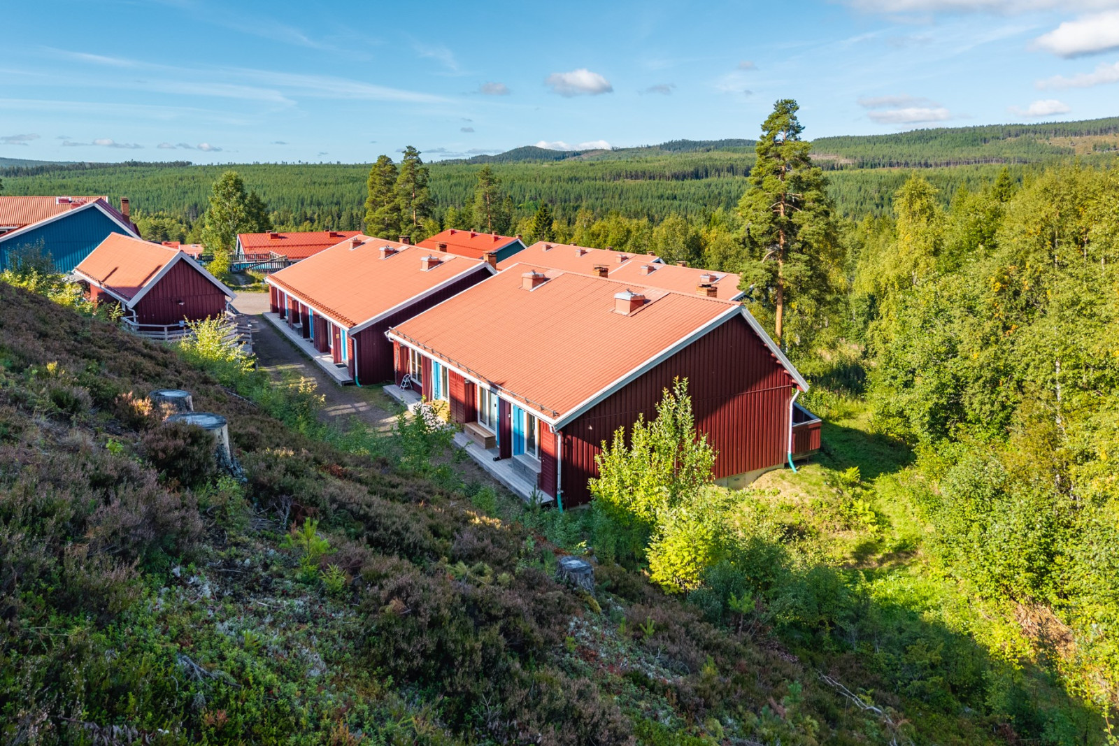  Sjungarbacken PLUS 1100