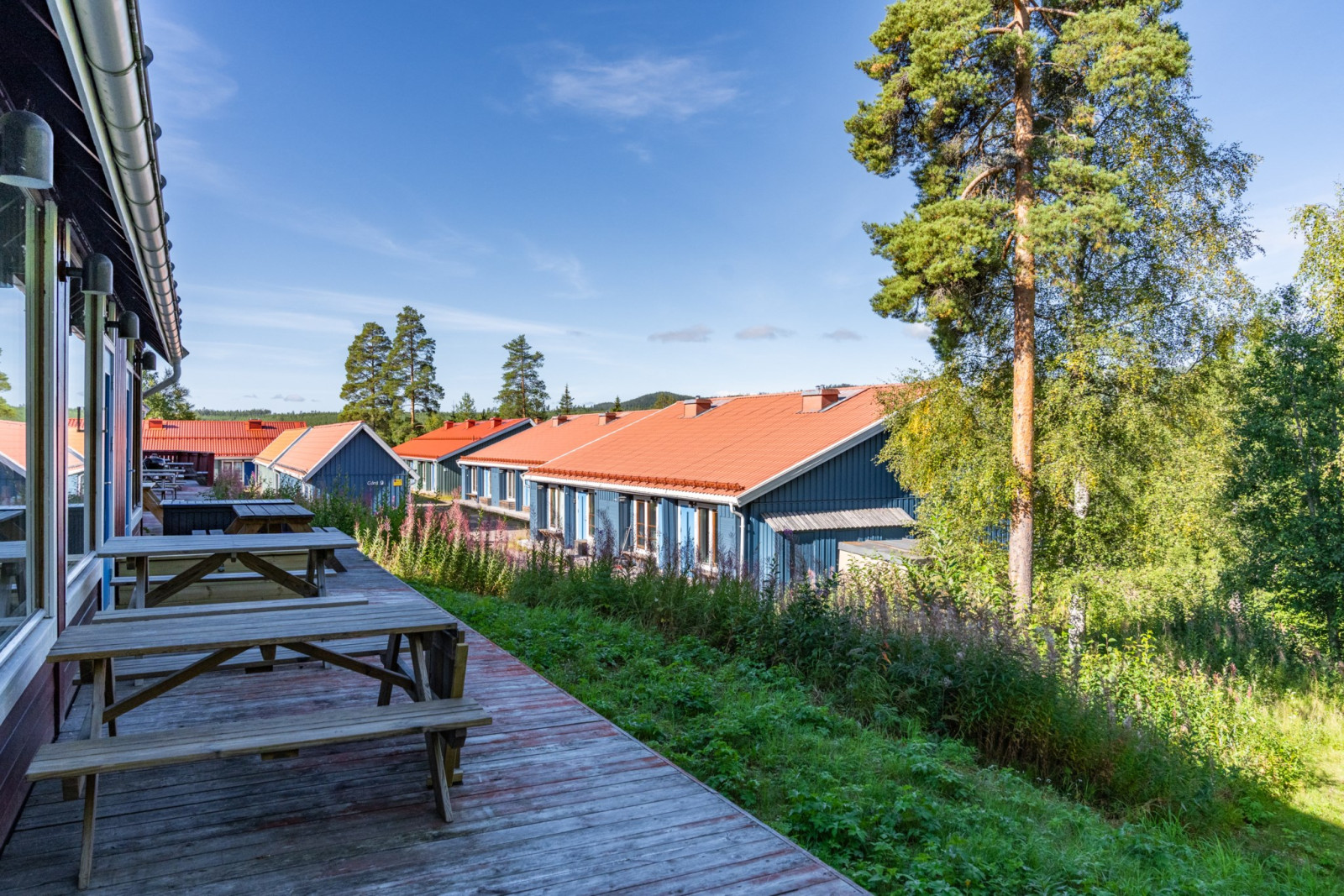  Sjungarbacken PLUS 1100