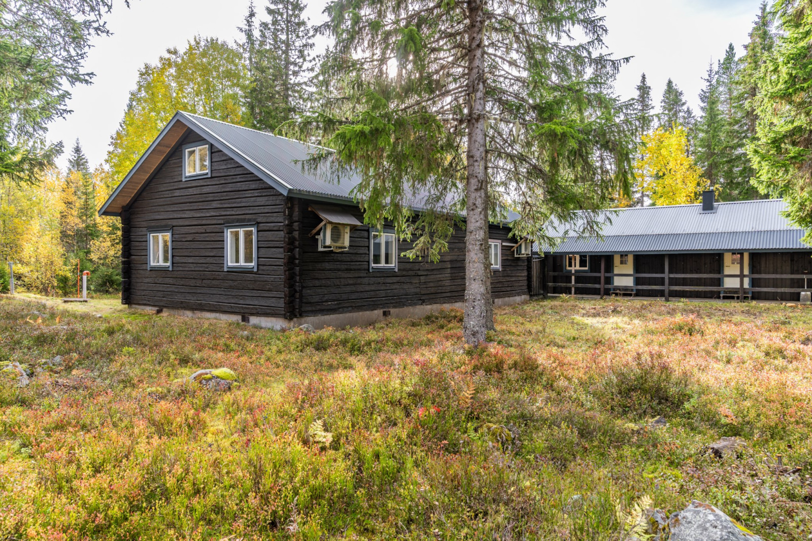  Östfjällstäkten 5
