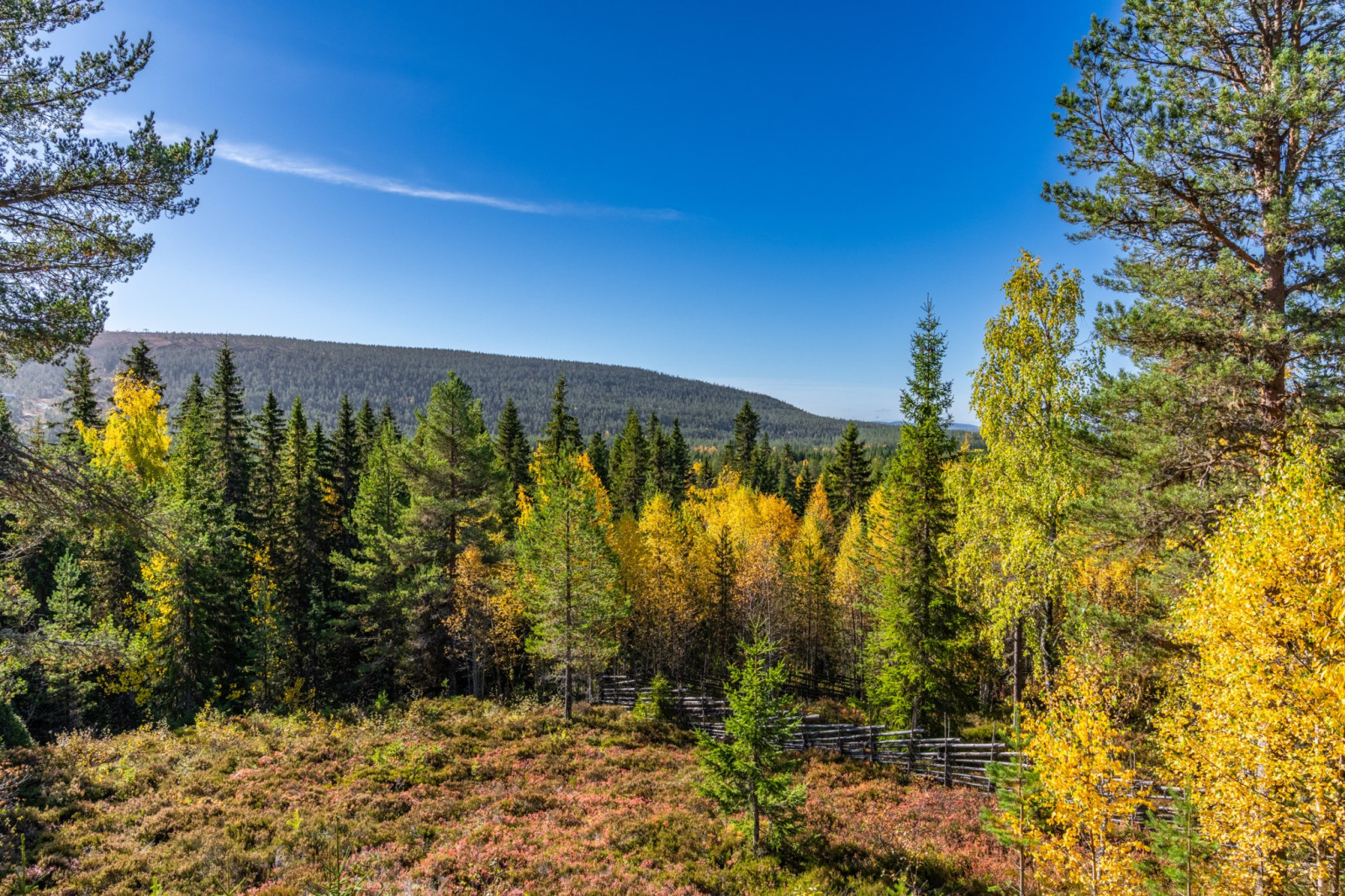  Salbäcksvägen 28