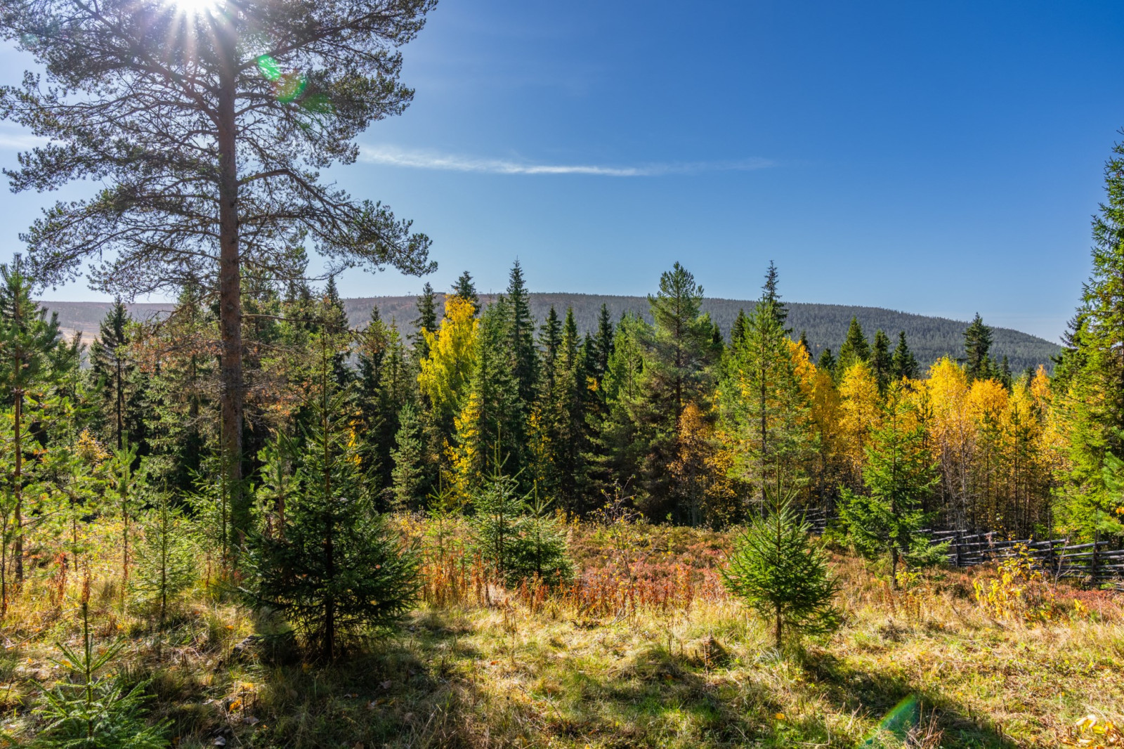  Salbäcksvägen 28