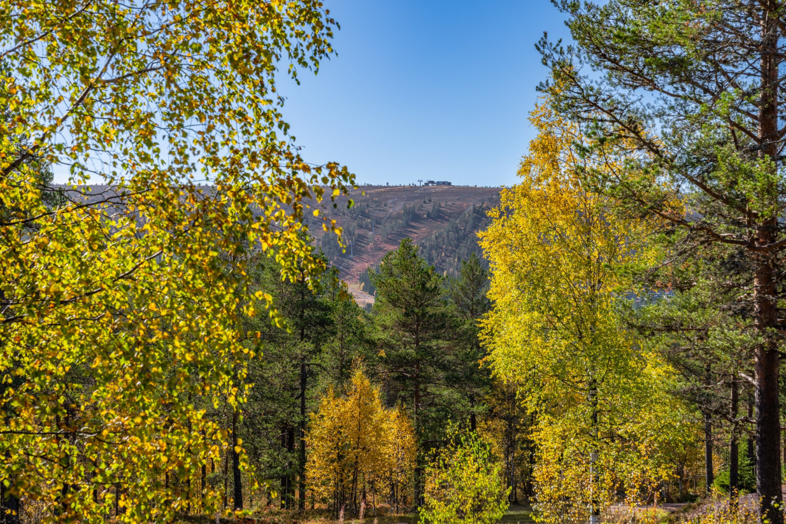  Ekorrstigen 7