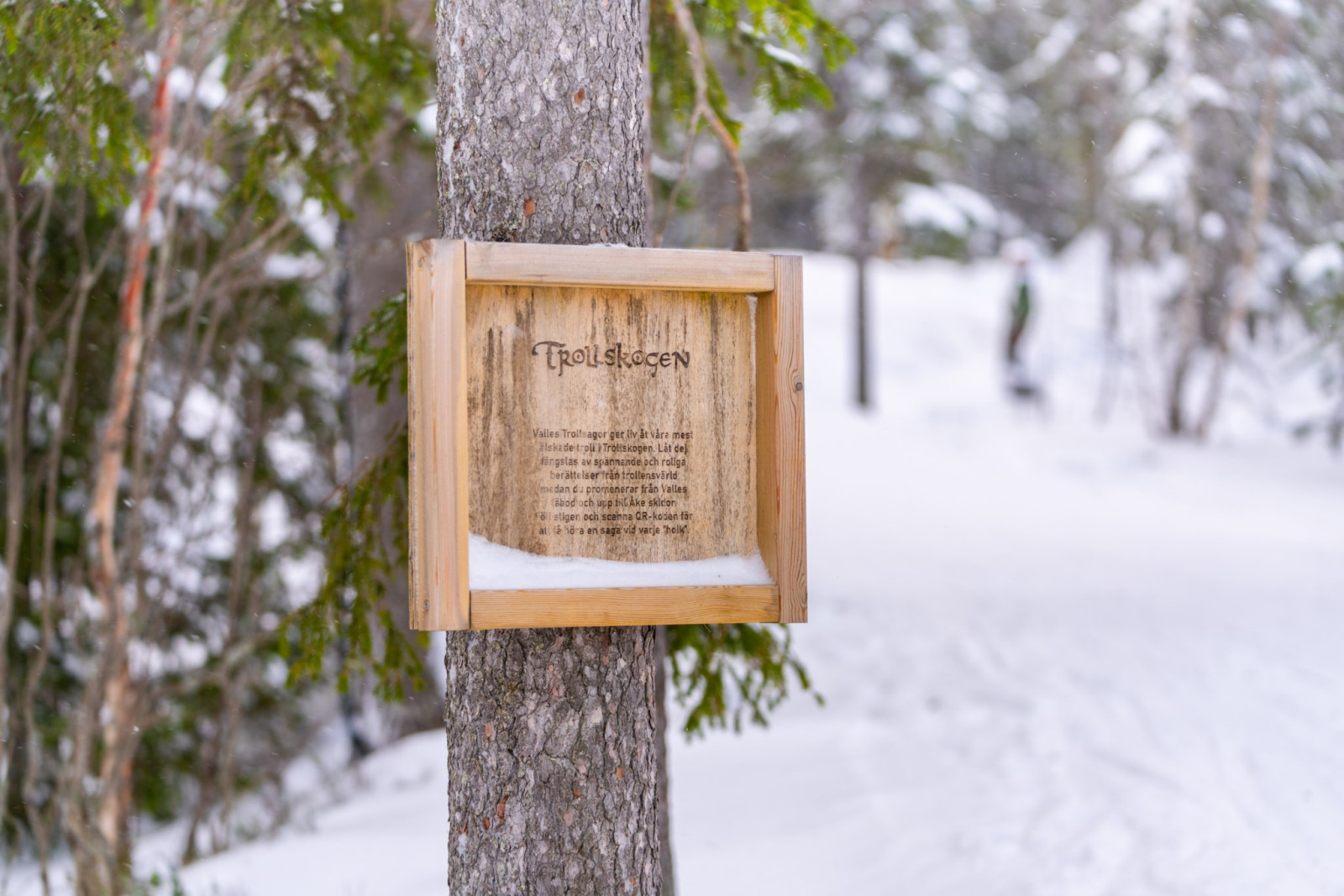  Joängets Fjällgård 2D