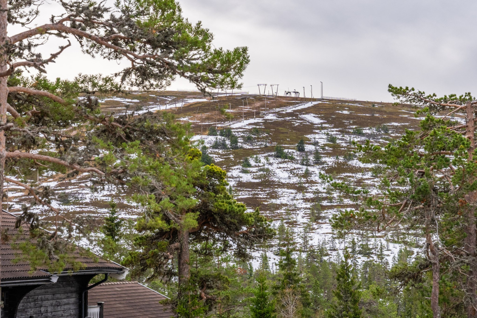  Kungsörnen 1A