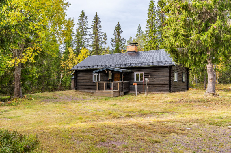 Östfjällstäkten 5